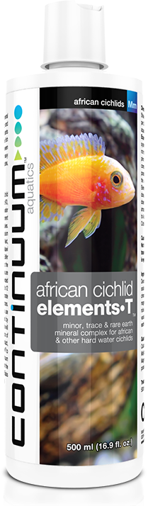 African Cichlid Elements•T