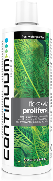 Flora•Viv Prolifera