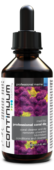 Medtec Professional Coral Dip